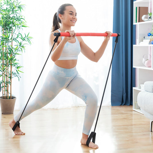 Fitbloom Premium Home Resistance Band Bar Kit